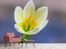 Laden Sie das Bild in den Galerie-Viewer, Fototapete Close up gelbe Blüte