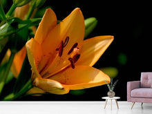 Laden Sie das Bild in den Galerie-Viewer, Fototapete Close up Lilie in orange