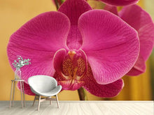 Laden Sie das Bild in den Galerie-Viewer, Fototapete Close up Orchidee in pink