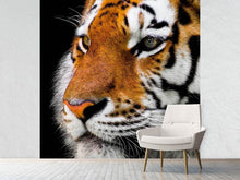 Laden Sie das Bild in den Galerie-Viewer, Fototapete Close up Tiger Kopf