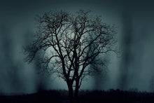 Laden Sie das Bild in den Galerie-Viewer, Fototapete Der Baum in Dunkelheit