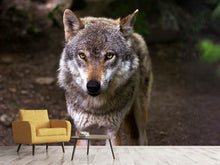 Laden Sie das Bild in den Galerie-Viewer, Fototapete Der böse Wolf