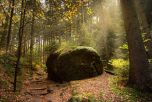 Laden Sie das Bild in den Galerie-Viewer, Fototapete Der Fels im Wald