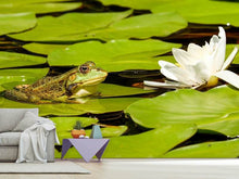 Laden Sie das Bild in den Galerie-Viewer, Fototapete Der Frosch und die Seerose