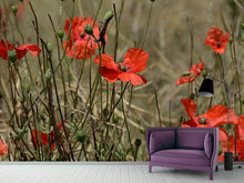 Laden Sie das Bild in den Galerie-Viewer, Fototapete Der Klatschmohn in der Natur