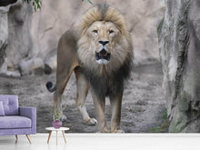 Laden Sie das Bild in den Galerie-Viewer, Fototapete Der Löwe und sein Reich