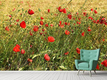 Laden Sie das Bild in den Galerie-Viewer, Fototapete Der Mohn im Wind