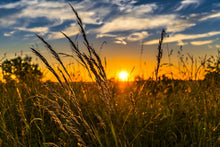 Laden Sie das Bild in den Galerie-Viewer, Fototapete Der Sonnenuntergang auf dem Feld
