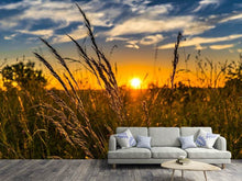 Laden Sie das Bild in den Galerie-Viewer, Fototapete Der Sonnenuntergang auf dem Feld