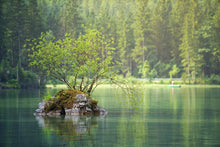 Laden Sie das Bild in den Galerie-Viewer, Fototapete Der Teich im Wald