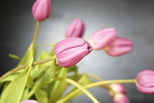 Laden Sie das Bild in den Galerie-Viewer, Fototapete Der Tulpenstrauss in rosa