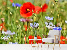 Laden Sie das Bild in den Galerie-Viewer, Fototapete Der wilde Mohn XL
