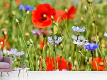 Laden Sie das Bild in den Galerie-Viewer, Fototapete Der wilde Mohn XL