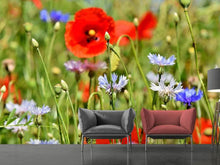 Laden Sie das Bild in den Galerie-Viewer, Fototapete Der wilde Mohn XL