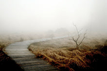Laden Sie das Bild in den Galerie-Viewer, Fototapete Dichter Nebel