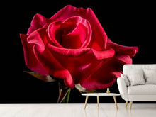 Laden Sie das Bild in den Galerie-Viewer, Fototapete Die Blume der Liebe
