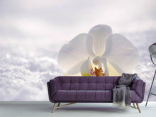 Laden Sie das Bild in den Galerie-Viewer, Fototapete Die Orchideen Blüte