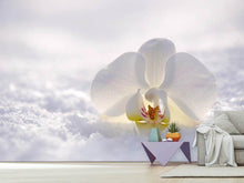 Laden Sie das Bild in den Galerie-Viewer, Fototapete Die Orchideen Blüte