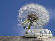 Laden Sie das Bild in den Galerie-Viewer, Fototapete Die Pusteblume in XXL