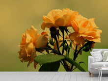 Laden Sie das Bild in den Galerie-Viewer, Fototapete Die Rosen in der Natur