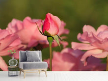 Laden Sie das Bild in den Galerie-Viewer, Fototapete Die Rosenknospe