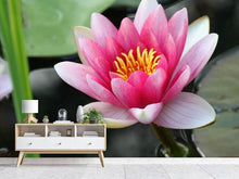 Laden Sie das Bild in den Galerie-Viewer, Fototapete Die Seerose in pink