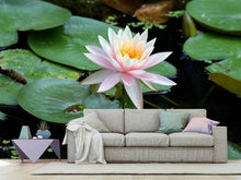 Laden Sie das Bild in den Galerie-Viewer, Fototapete Die stolze Seerose