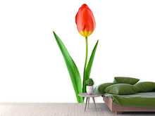 Laden Sie das Bild in den Galerie-Viewer, Fototapete Die stolze Tulpe
