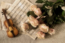 Laden Sie das Bild in den Galerie-Viewer, Fototapete Die Violine