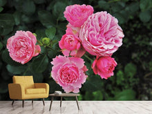 Laden Sie das Bild in den Galerie-Viewer, Fototapete Die wilden Rosen in pink