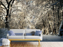 Laden Sie das Bild in den Galerie-Viewer, Fototapete Ein Winter Traum