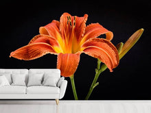 Laden Sie das Bild in den Galerie-Viewer, Fototapete Eine Lilien Blüte in orange