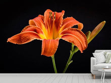 Laden Sie das Bild in den Galerie-Viewer, Fototapete Eine Lilien Blüte in orange