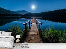 Laden Sie das Bild in den Galerie-Viewer, Fototapete Eine Nacht bei Vollmond