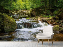 Laden Sie das Bild in den Galerie-Viewer, Fototapete Entspannung am Wasserfall