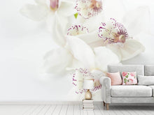 Laden Sie das Bild in den Galerie-Viewer, Fototapete Fantastische Orchideen