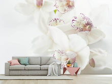 Laden Sie das Bild in den Galerie-Viewer, Fototapete Fantastische Orchideen