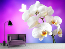Laden Sie das Bild in den Galerie-Viewer, Fototapete Flower Power Orchidee