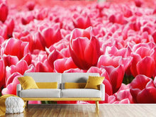 Laden Sie das Bild in den Galerie-Viewer, Fototapete Fröhliches Tulpenfeld