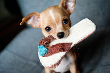 Laden Sie das Bild in den Galerie-Viewer, Fototapete Gehorsamer Chihuahua