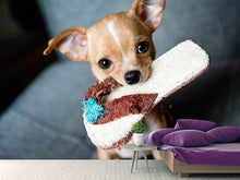Laden Sie das Bild in den Galerie-Viewer, Fototapete Gehorsamer Chihuahua