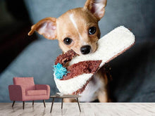 Laden Sie das Bild in den Galerie-Viewer, Fototapete Gehorsamer Chihuahua