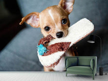 Laden Sie das Bild in den Galerie-Viewer, Fototapete Gehorsamer Chihuahua