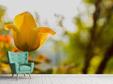 Laden Sie das Bild in den Galerie-Viewer, Fototapete Gelbe Tulpe in der Natur