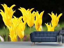 Laden Sie das Bild in den Galerie-Viewer, Fototapete Gelbe Tulpen in der Natur