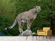 Laden Sie das Bild in den Galerie-Viewer, Fototapete Gepard auf dem Sprung