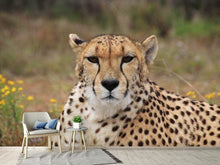 Laden Sie das Bild in den Galerie-Viewer, Fototapete Gepard XL