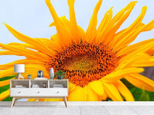 Laden Sie das Bild in den Galerie-Viewer, Fototapete Grosse Sonnenblume