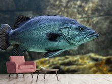 Laden Sie das Bild in den Galerie-Viewer, Fototapete Grosser Fisch
