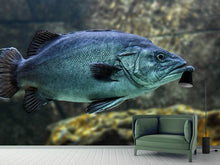 Laden Sie das Bild in den Galerie-Viewer, Fototapete Grosser Fisch